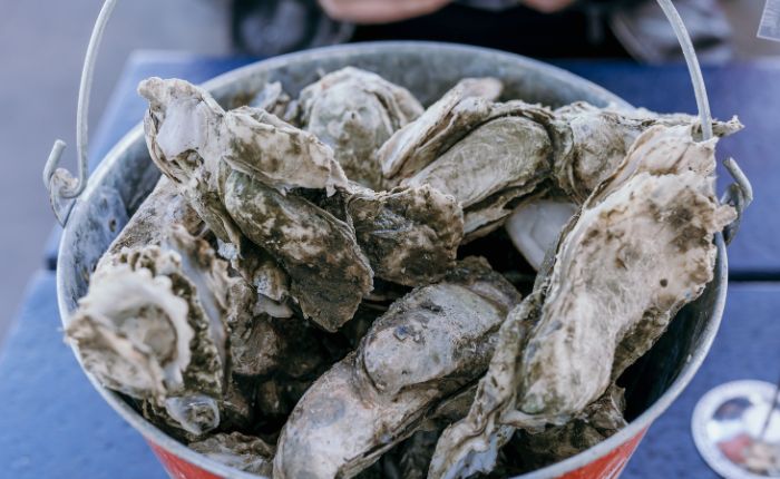 Mingo Point Oyster Roast & BBQ Event